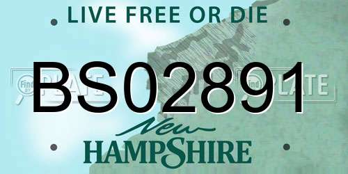 BS02891 New Hampshire License Plate