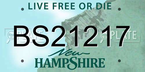 BS21217 New Hampshire License Plate