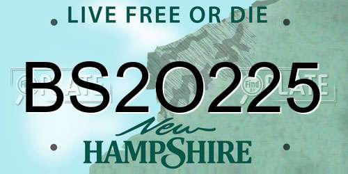 BS2O225 New Hampshire License Plate