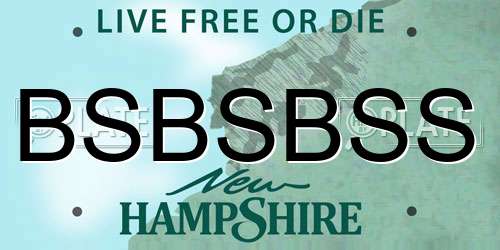 BSBSBSS New Hampshire License Plate