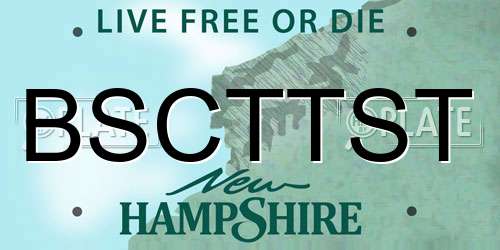 BSCTTST New Hampshire License Plate