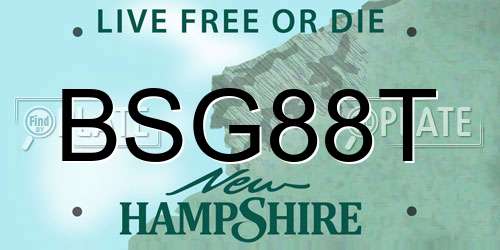 BSG88T New Hampshire License Plate