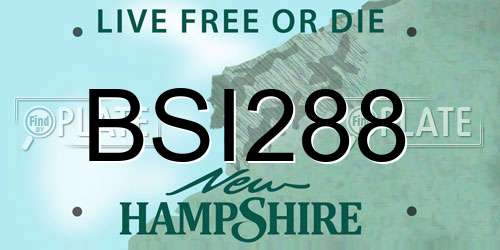 BSI288 New Hampshire License Plate