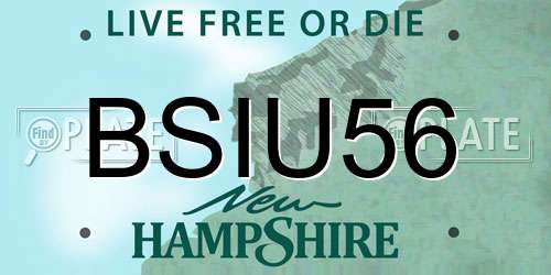 BSIU56 New Hampshire License Plate