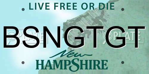 BSNGTGT New Hampshire License Plate