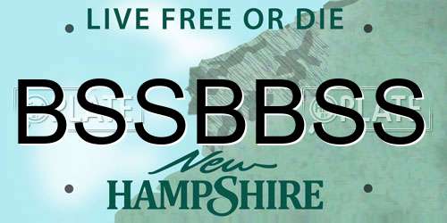 BSSBBSS New Hampshire License Plate