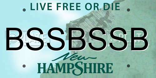 BSSBSSB New Hampshire License Plate