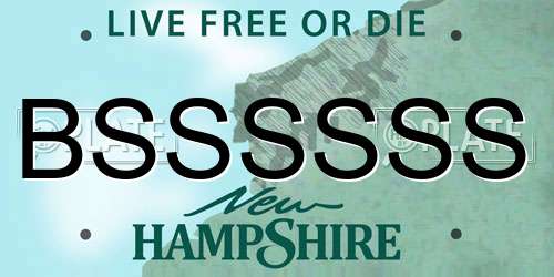BSSSSSS New Hampshire License Plate
