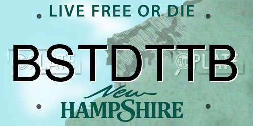 BSTDTTB New Hampshire License Plate