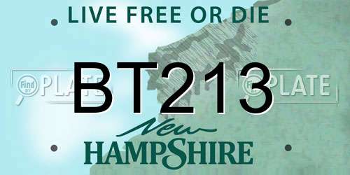 BT213 New Hampshire License Plate
