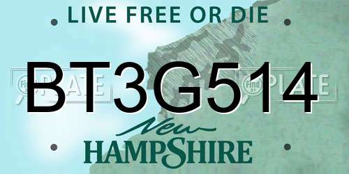 BT3G514 New Hampshire License Plate