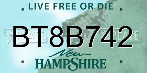 BT8B742 New Hampshire License Plate