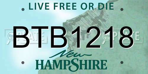 BTB1218 New Hampshire License Plate
