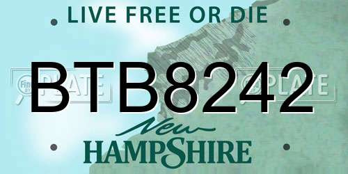 BTB8242 New Hampshire License Plate