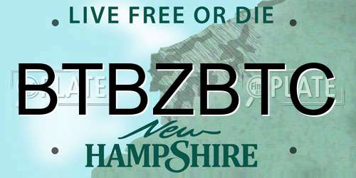 BTBZBTC New Hampshire License Plate