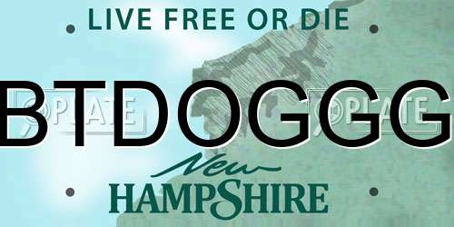 BTDOGGG New Hampshire License Plate