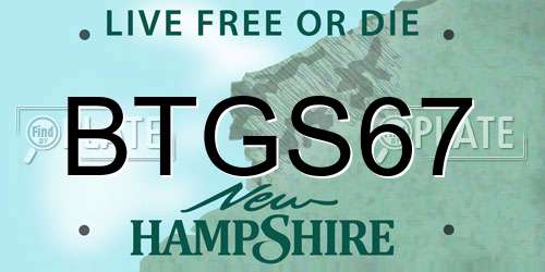 BTGS67 New Hampshire License Plate