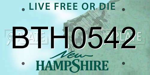BTH0542 New Hampshire License Plate