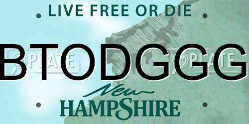 BTODGGG New Hampshire License Plate