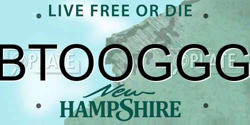 BTOOGGG New Hampshire License Plate