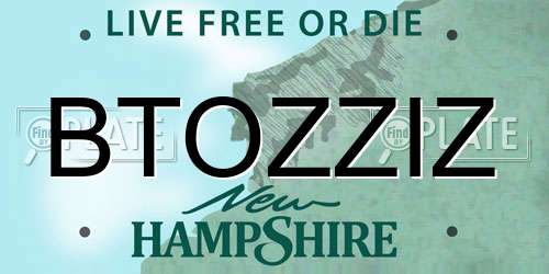 BTOZZIZ New Hampshire License Plate