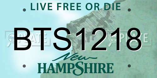 BTS1218 New Hampshire License Plate