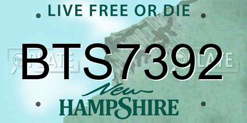 BTS7392 New Hampshire License Plate