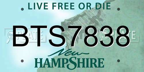 BTS7838 New Hampshire License Plate