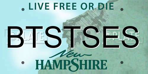 BTSTSES New Hampshire License Plate