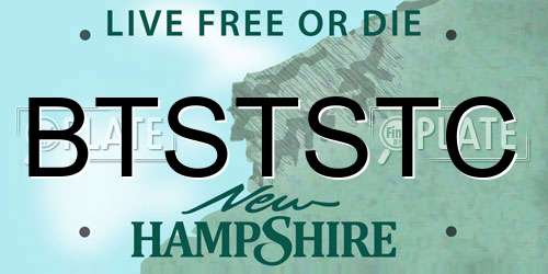 BTSTSTC New Hampshire License Plate