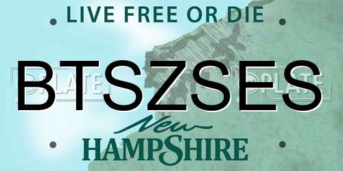 BTSZSES New Hampshire License Plate