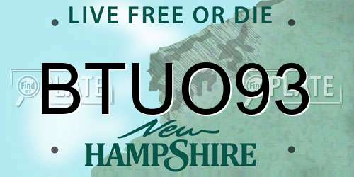 BTUO93 New Hampshire License Plate