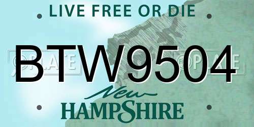 BTW9504 New Hampshire License Plate