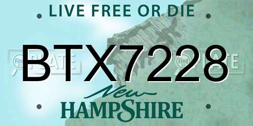 BTX7228 New Hampshire License Plate