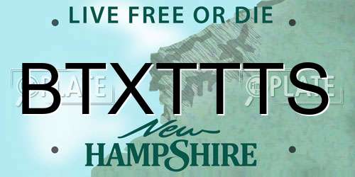 BTXTTTS New Hampshire License Plate