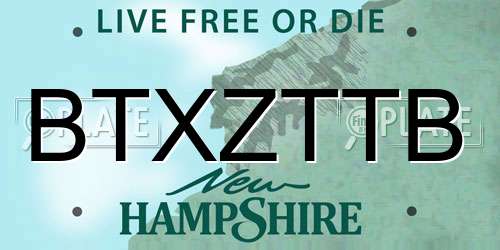 BTXZTTB New Hampshire License Plate