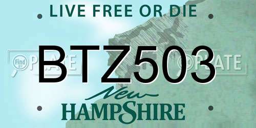 BTZ503 New Hampshire License Plate