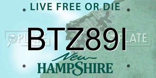 BTZ89I New Hampshire License Plate