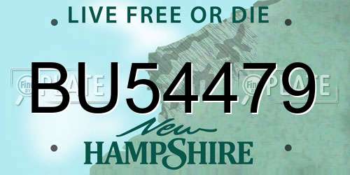 BU54479 New Hampshire License Plate