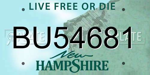 BU54681 New Hampshire License Plate