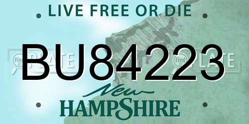 BU84223 New Hampshire License Plate