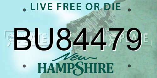 BU84479 New Hampshire License Plate