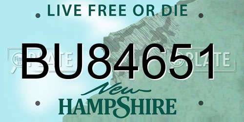 BU84651 New Hampshire License Plate