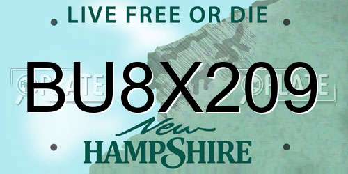BU8X209 New Hampshire License Plate