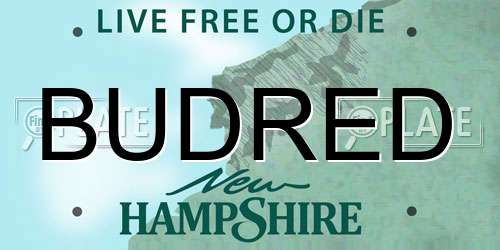 BUDRED New Hampshire License Plate