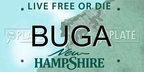 BUGA New Hampshire License Plate