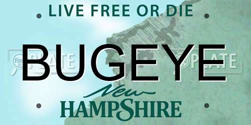 BUGEYE New Hampshire License Plate
