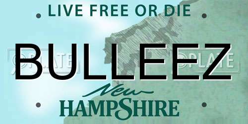 BULLEEZ New Hampshire License Plate