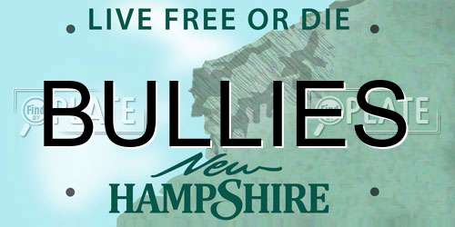 BULLIES New Hampshire License Plate