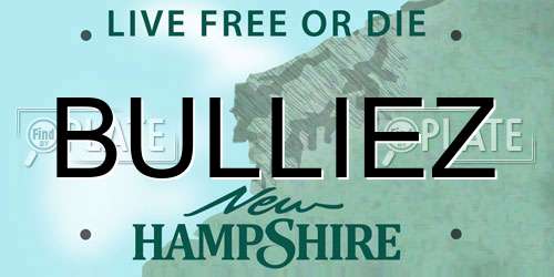 BULLIEZ New Hampshire License Plate